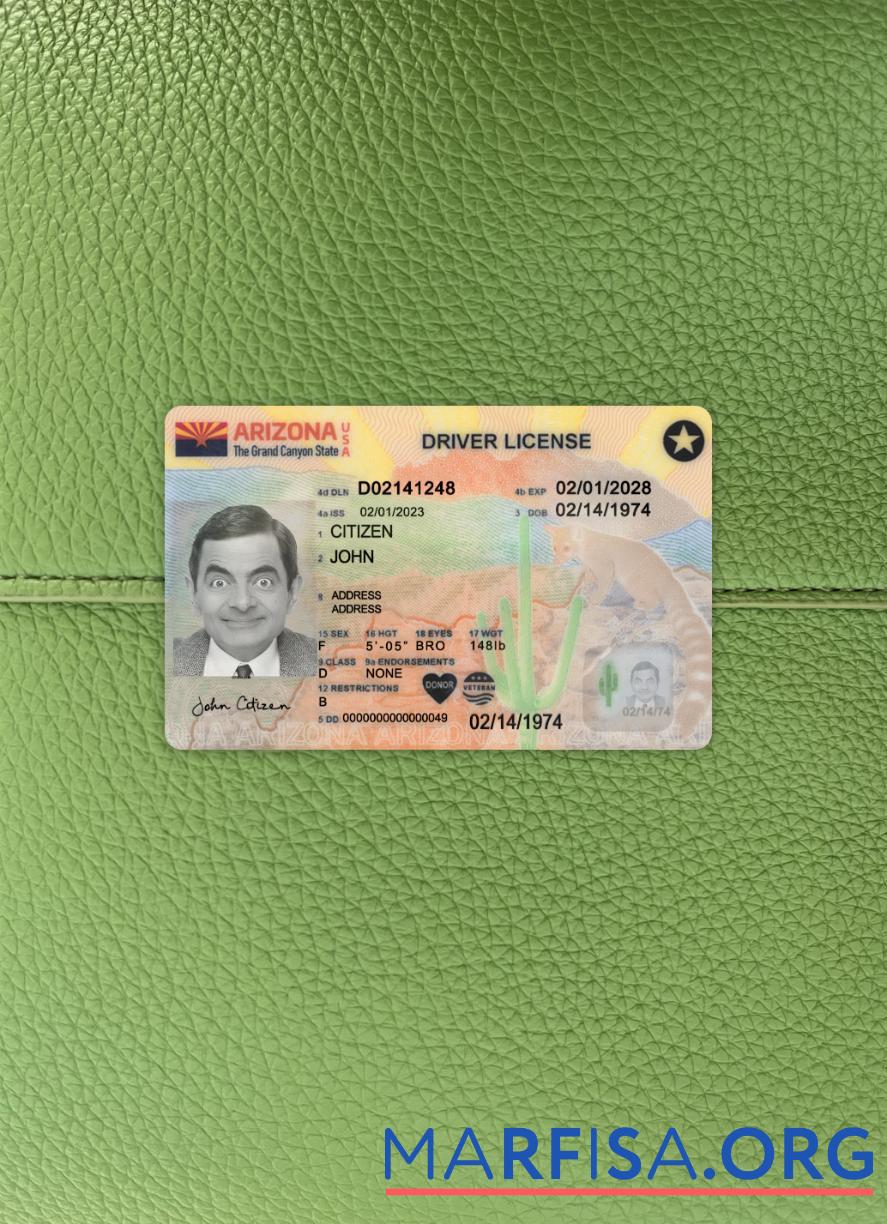 Downloadable USA Arizona driving license 2023 present photolook download for verification